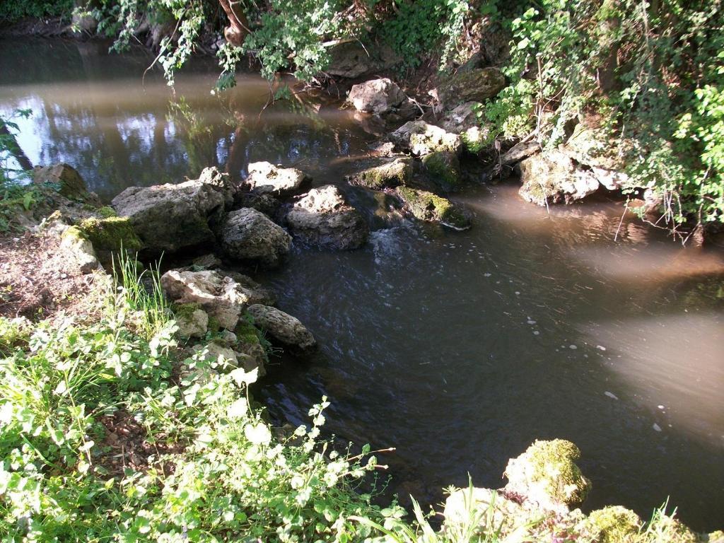 Chambre D'Hote Moulin Du Ru Aulnoy Exteriér fotografie