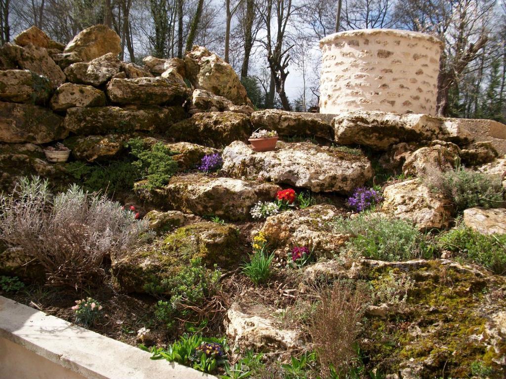 Chambre D'Hote Moulin Du Ru Aulnoy Exteriér fotografie